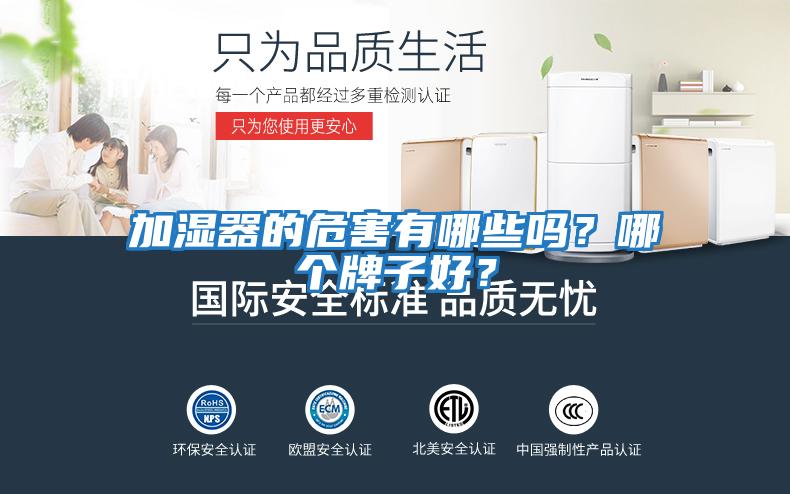 加濕器的危害有哪些嗎？哪個牌子好？