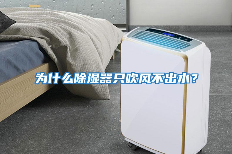 為什么除濕器只吹風不出水？