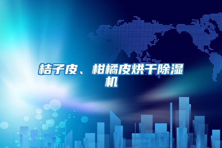 桔子皮、柑橘皮烘干除濕機(jī)