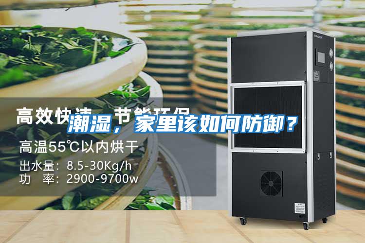 潮濕,家里該如何防御?