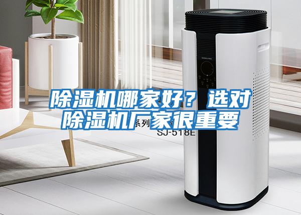 除濕機哪家好？選對除濕機廠家很重要