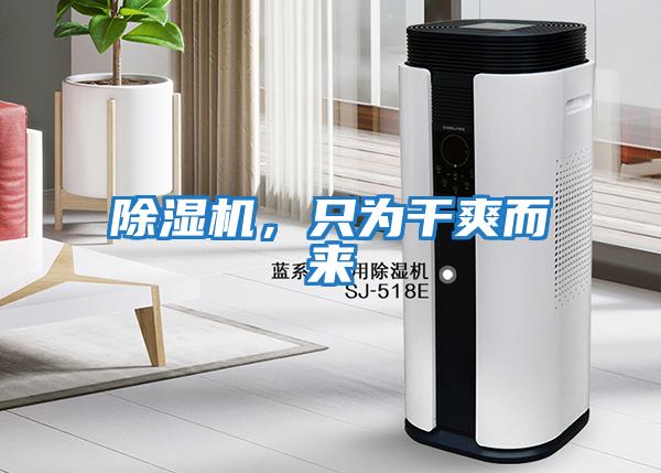 除濕機,只為干爽而來