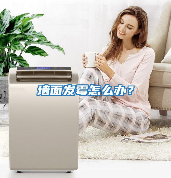 墻面發霉怎么辦?