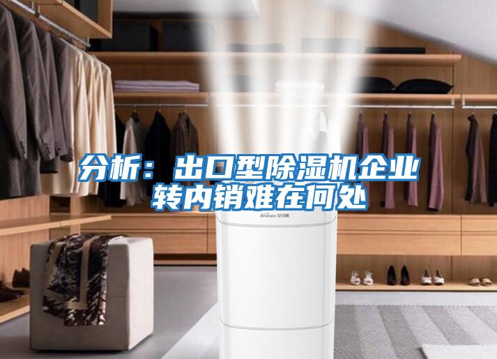 分析:出口型除濕機(jī)企業(yè) 轉(zhuǎn)內(nèi)銷難在何處