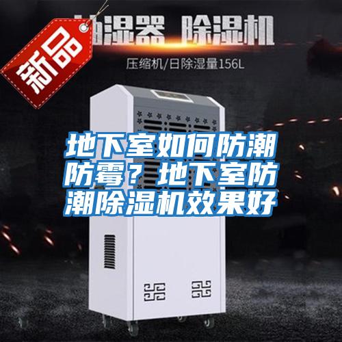 地下室如何防潮防霉?地下室防潮除濕機效果好