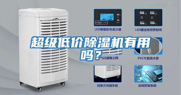 超級低價除濕機有用嗎?