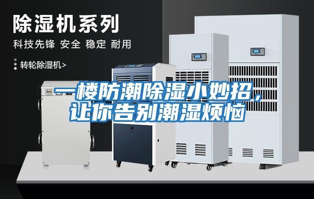 一樓防潮除濕小妙招,讓你告別潮濕煩惱