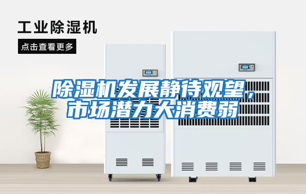 除濕機發展靜待觀望,市場潛力大消費弱