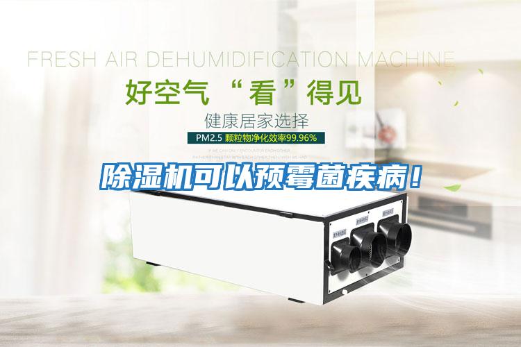 除濕機可以預霉菌疾病!