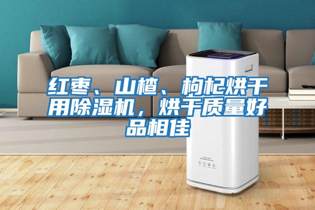 紅棗、山楂、枸杞烘干用除濕機(jī),烘干質(zhì)量好品相佳