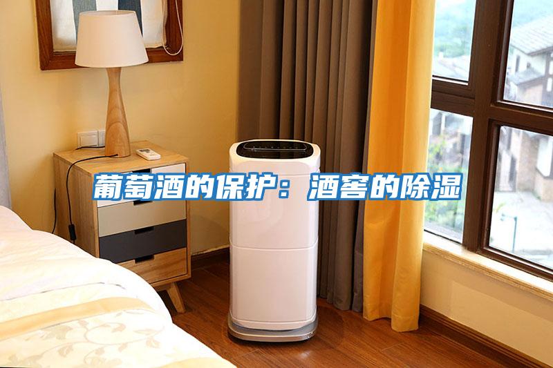 葡萄酒的保護:酒窖的除濕