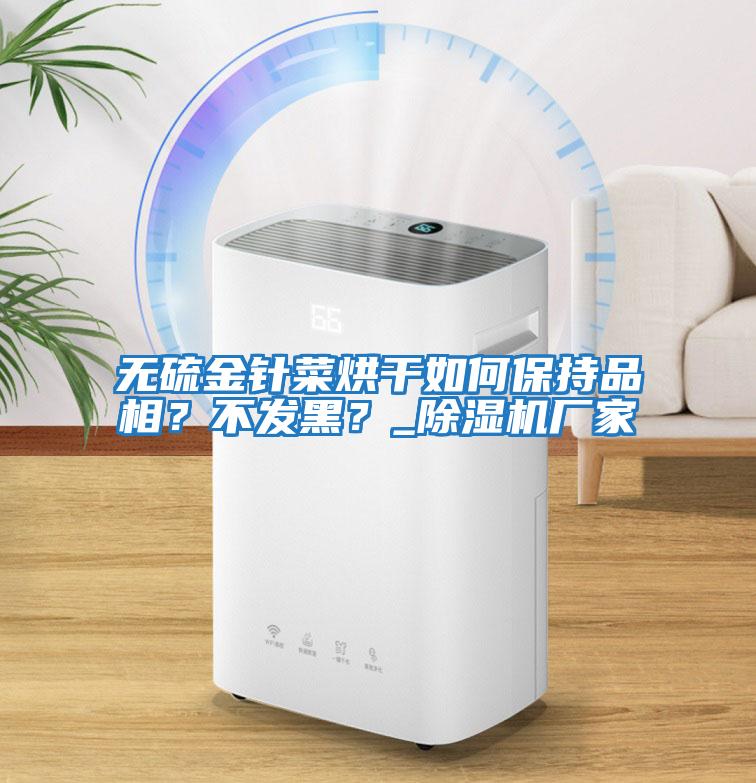 無硫金針菜烘干如何保持品相？不發(fā)黑？_除濕機廠家