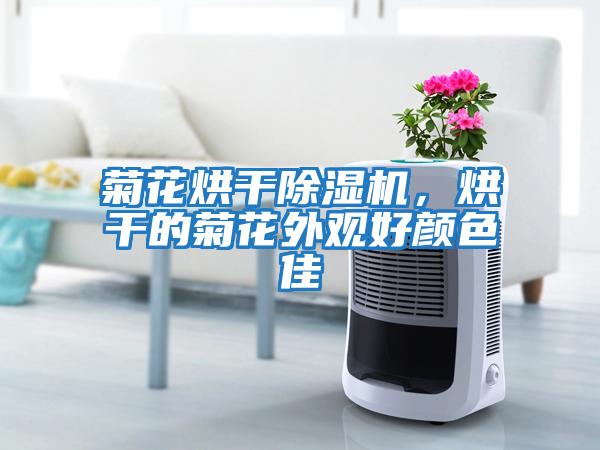 菊花烘干除濕機,烘干的菊花外觀好顏色佳