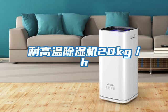 耐高溫除濕機20kg/h