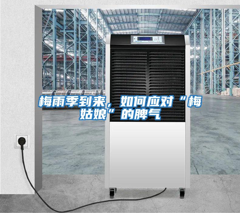 梅雨季到來，如何應(yīng)對“梅姑娘”的脾氣