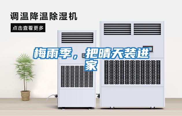 梅雨季,把晴天裝進(jìn)家