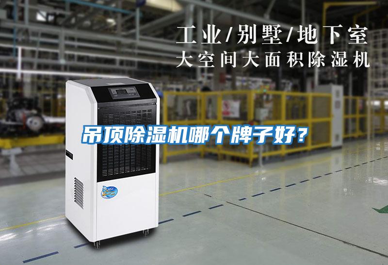 吊頂除濕機哪個牌子好?
