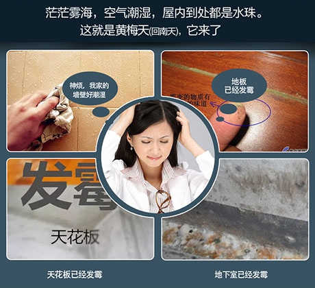 壁掛式公廁除臭機(jī) 實現(xiàn)公廁有效除臭殺菌