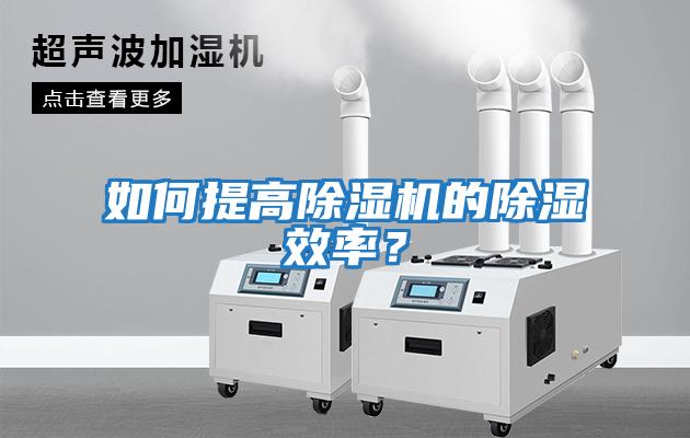 如何提高除濕機的除濕效率?