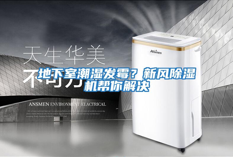 地下室潮濕發(fā)霉？新風(fēng)除濕機(jī)幫你解決