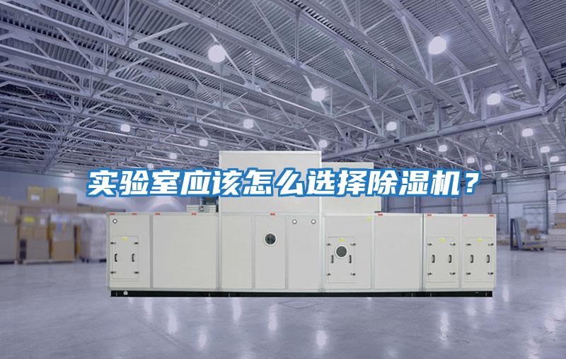 實驗室應(yīng)該怎么選擇除濕機?