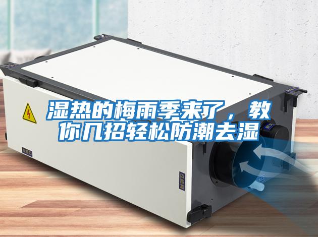 濕熱的梅雨季來了,教你幾招輕松防潮去濕