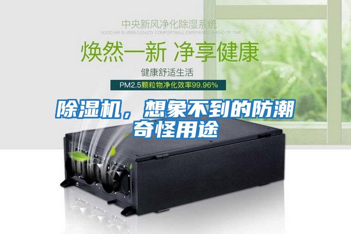 除濕機，想象不到的防潮奇怪用途