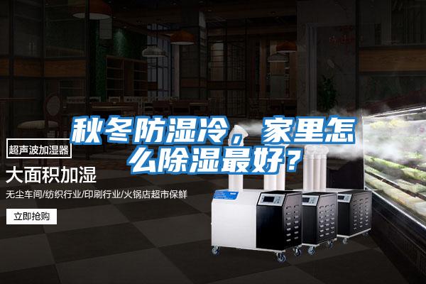 秋冬防濕冷，家里怎么除濕最好？