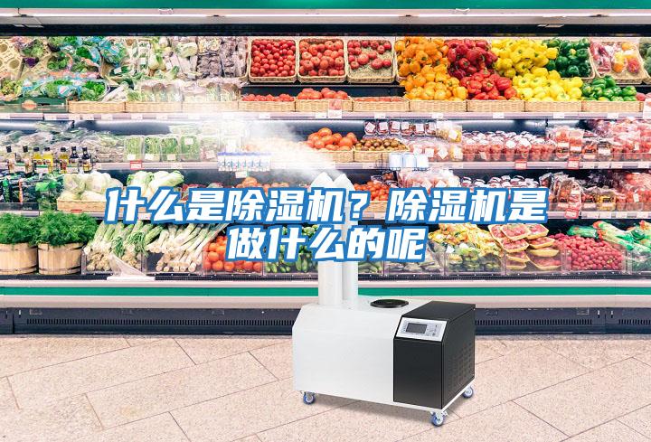 什么是除濕機?除濕機是做什么的呢