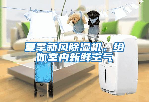 夏季新風(fēng)除濕機(jī)，給你室內(nèi)新鮮空氣
