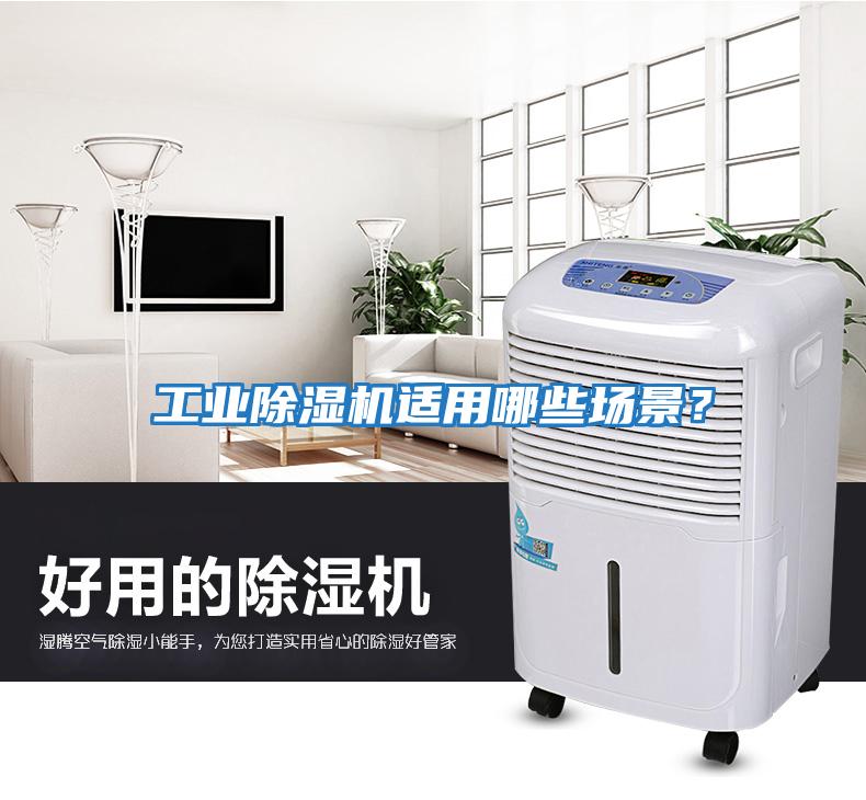 工業除濕機適用哪些場景?