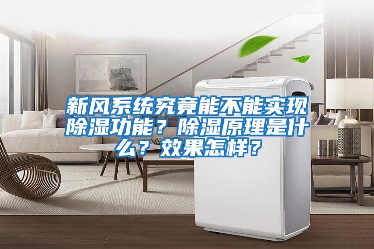 新風系統究竟能不能實現除濕功能?除濕原理是什么?效果怎樣?