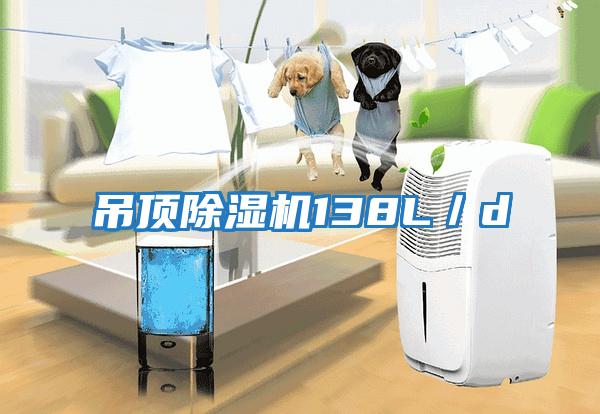 吊頂除濕機(jī)138L/d