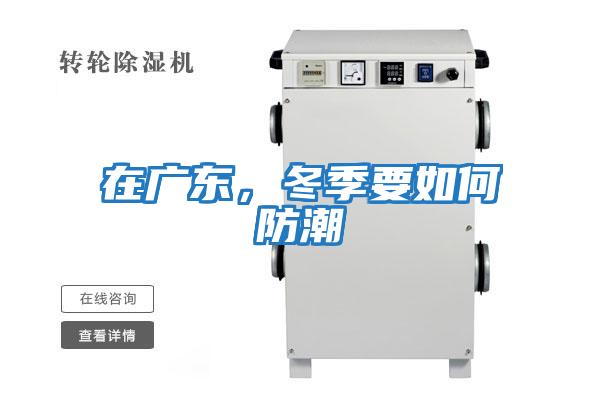 在廣東,冬季要如何防潮