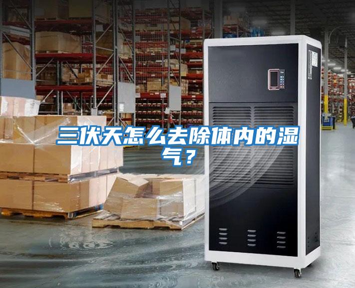 三伏天怎么去除體內的濕氣?