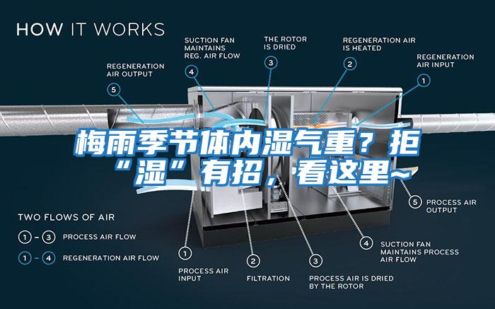 梅雨季節體內濕氣重?拒“濕”有招,看這里~