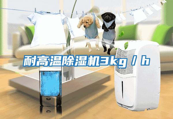 耐高溫除濕機3kg/h