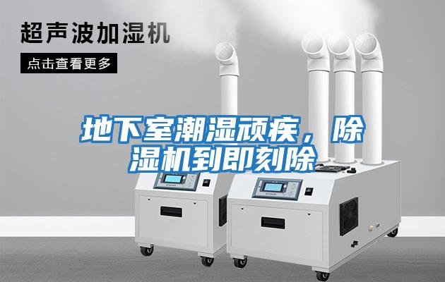 地下室潮濕頑疾,除濕機到即刻除