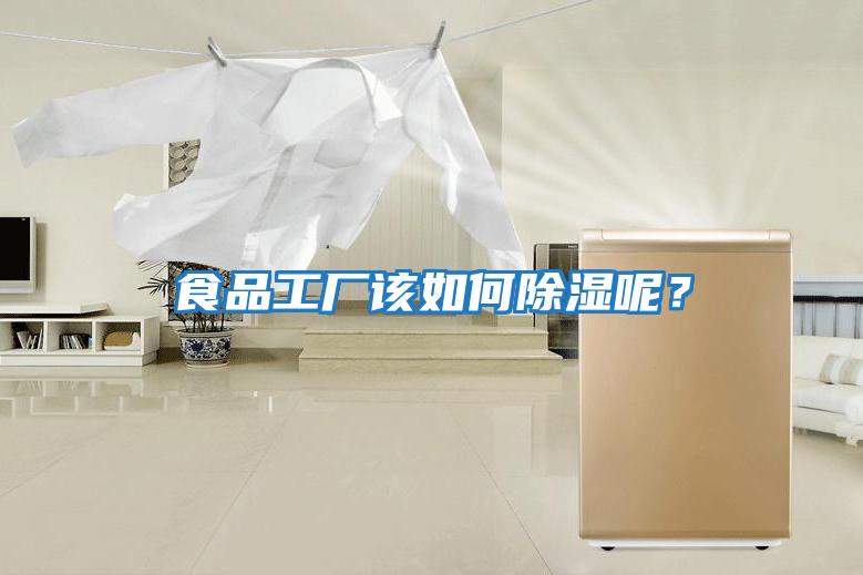 食品工廠該如何除濕呢?
