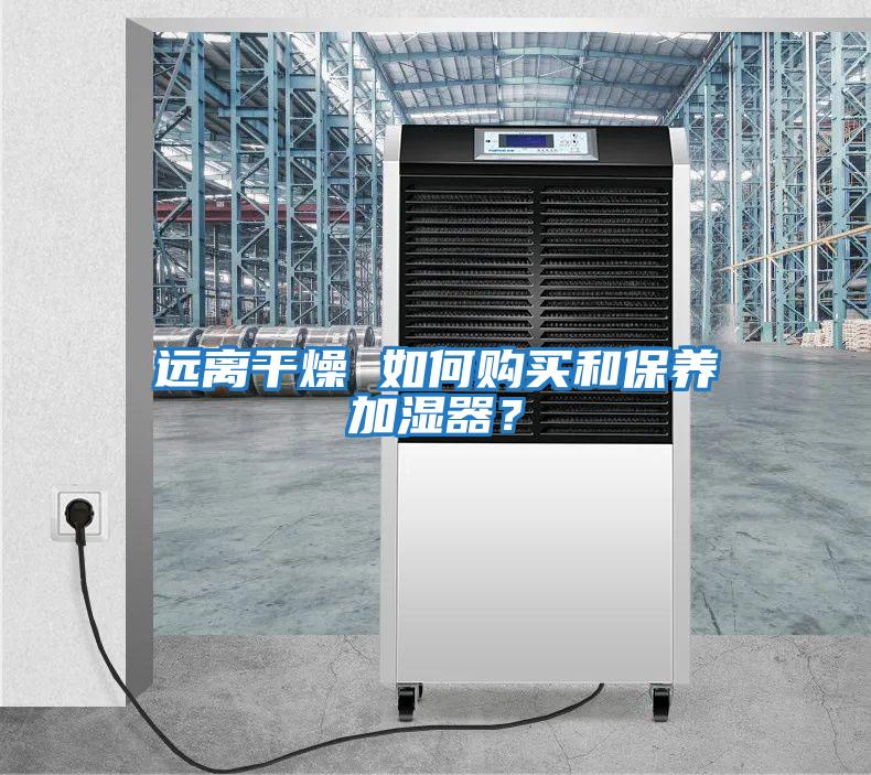 遠離干燥 如何購買和保養加濕器?