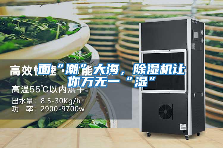 面“潮”大海，除濕機讓你萬無一“濕”
