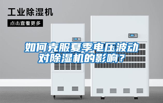 如何克服夏季電壓波動(dòng)對(duì)除濕機(jī)的影響?