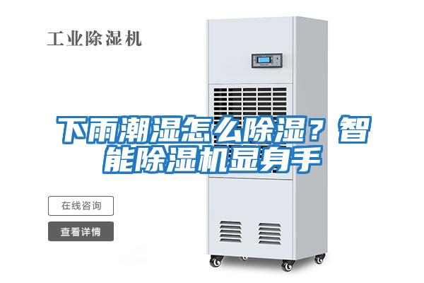 下雨潮濕怎么除濕?智能除濕機顯身手