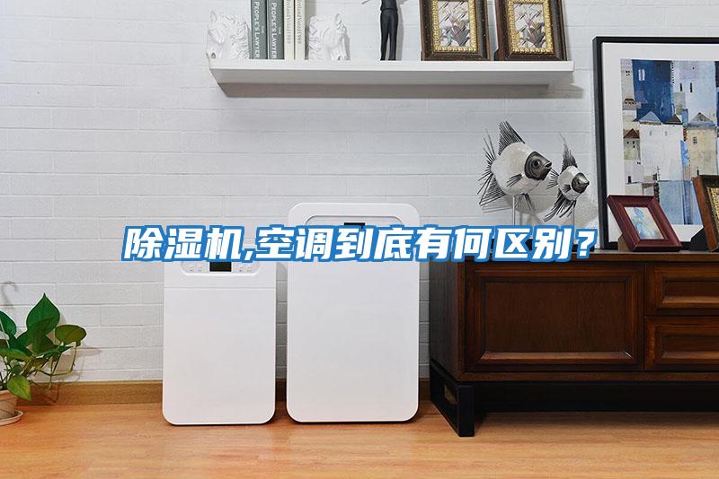 除濕機,空調到底有何區別?