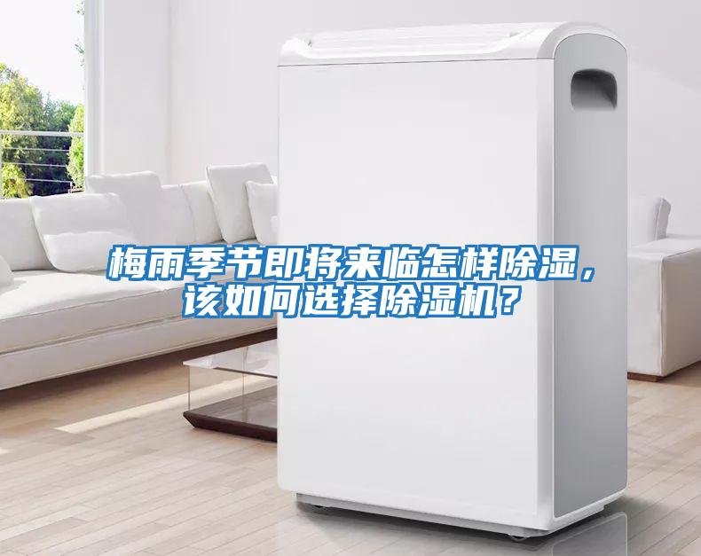 梅雨季節(jié)即將來臨怎樣除濕,該如何選擇除濕機(jī)?