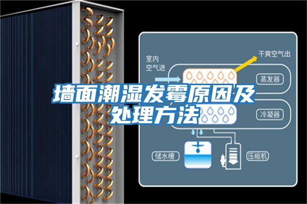 墻面潮濕發霉原因及處理方法