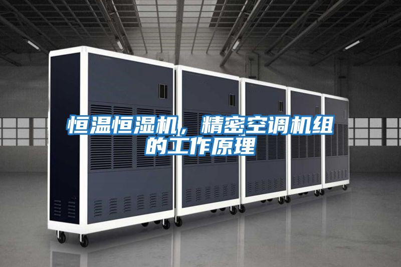 恒溫恒濕機,精密空調(diào)機組的工作原理