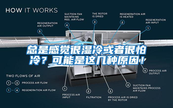 總是感覺很濕冷或者很怕冷?可能是這幾種原因!