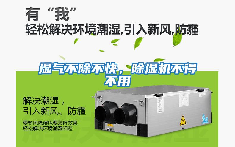 濕氣不除不快,除濕機不得不用