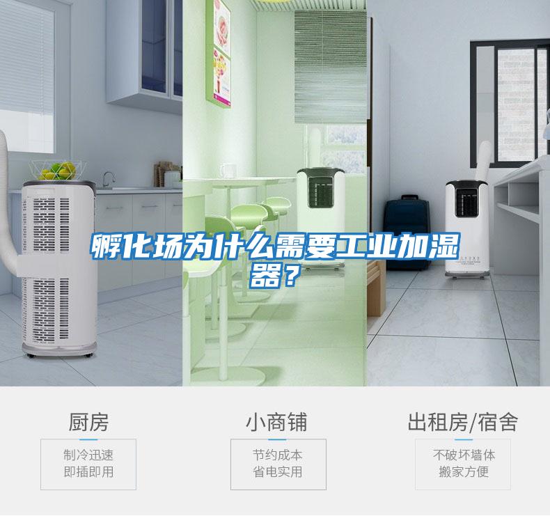 孵化場為什么需要工業(yè)加濕器?